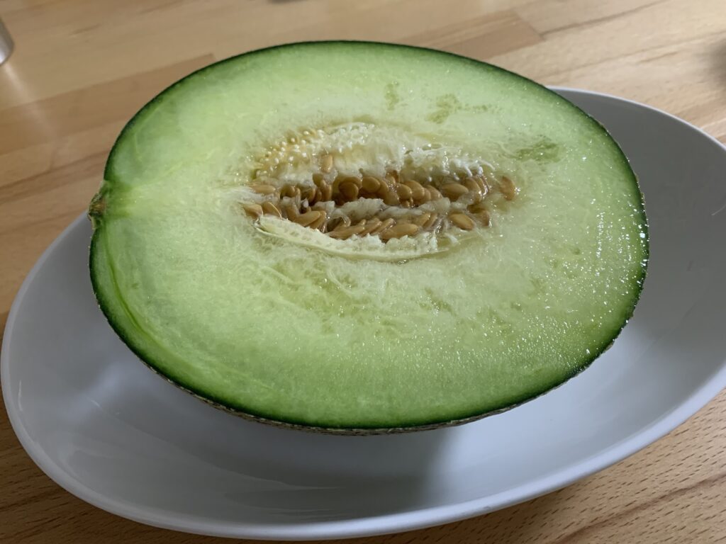 タカミメロン